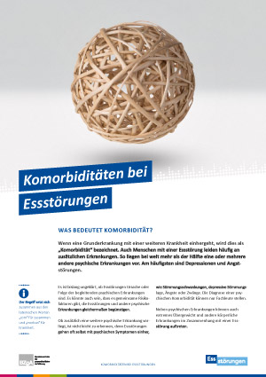 Themenblatt: Komorbiditäten bei Essstörungen Themenblatt Komorbidität bei Essstörungen